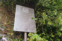 DSCN2085