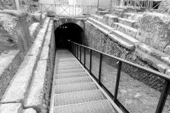 DSCN2095