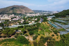 dji_fly_20250619_172430_171_1750347274387_photo_optimized