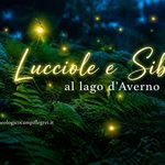 Lucciole e Sibilla